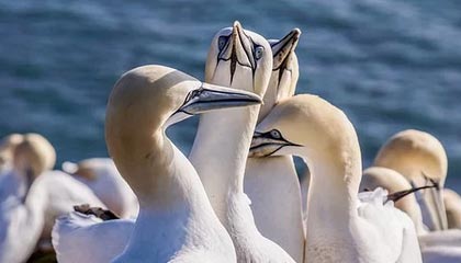 开云体育app安全下载-德国女子55公斤级举重选手在决赛中获得第六名，为妻子夺冠的德国举重选手